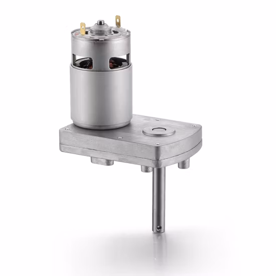 12V 24V High Torque Gear Ratio 10.4W 31rpm Electric Micro Brush Mini DC Geared Box Motor with Wheels for Robot/ Vending Machine