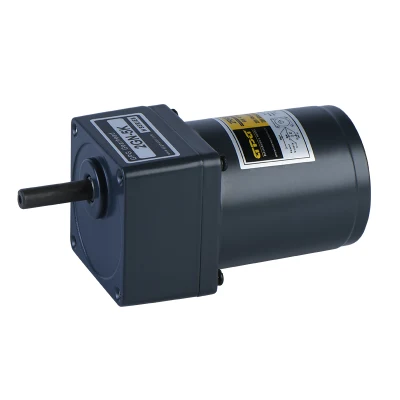 High Torque Low Rotation Speed 60mm 4W Gpg Electric Micro Geared Motor for Textile Knitting Machine 2rk4gn