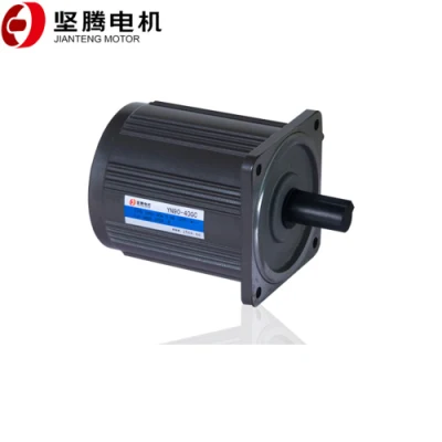 High Torque Low Speed 90mm 40W Micro Small AC Electric Gear Reduction Motor
