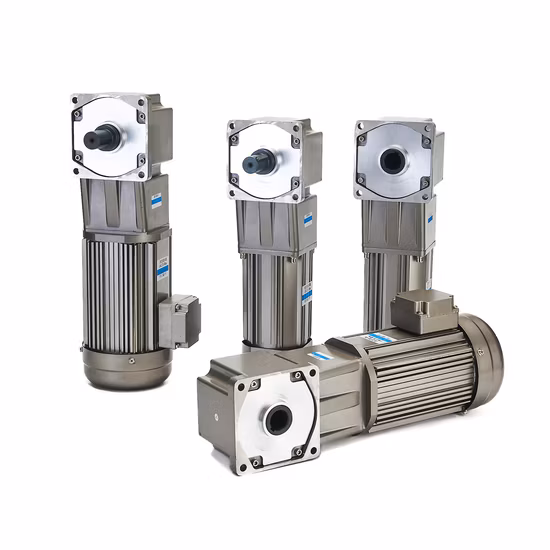 Right Angle Hollow Solid Shaft Electric Micro AC Small Induction Reversible Geared Reduction Motor for New Energy Lithium Conveyor Boiler Feedwater Pump