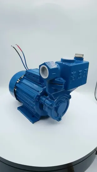 Pumps Household Appliances OEM CE, RoHS DC Vacuum Motor Solar Pump