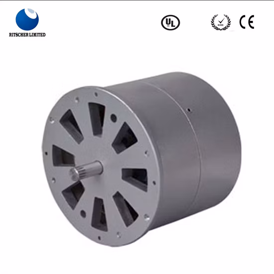 High Efficiency Adjustable Brushless Speed Electrical Micro DC Motor for Water Pump