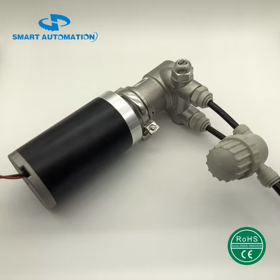 12V 24V Customized Brushed or Brushless Electric DC Pump Motor Used for Air Pump, Hydraulic Pump, Water/ Fuel/Oil/Vacuum/Medical Pump, Anti-Vibration Low Noise