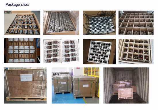 High Efficiency Adjustable Brushless Speed Electrical Micro DC Motor for Water Pump