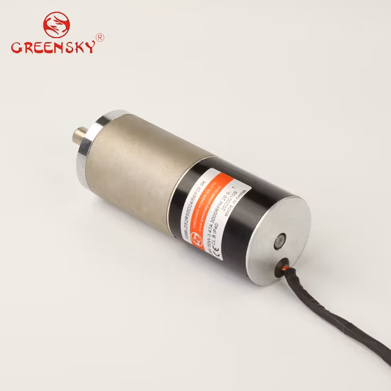 2022 Popular GS Micro Gear Motor Small Brushless DC Motor with Cheap Price