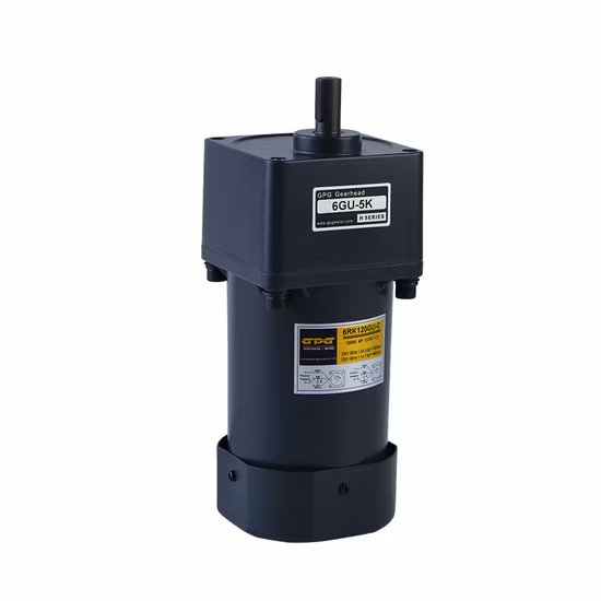 Gpg Vtv Pellet Stove Burner Boiler Dosing Metering Pump Micro AC Reversible Induction Gear Reduction Motor 4ik25gnc 8rpm Yn80-25 3ik15gn 5ik60gn120gn